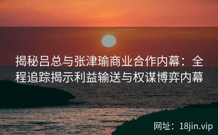 揭秘吕总与张津瑜商业合作内幕：全程追踪揭示利益输送与权谋博弈内幕